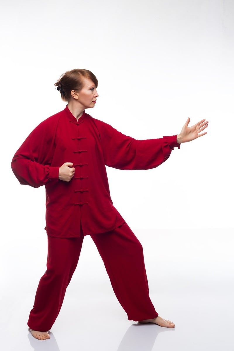 Yang Style Tai Chi